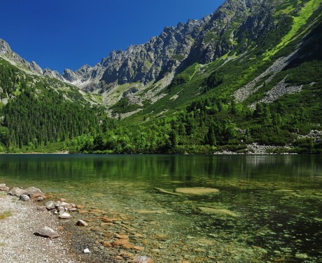 f1cb53c0913a53e4ad555c014495949f